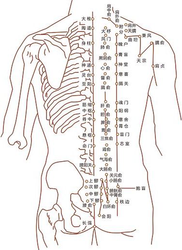 中药督脉熏蒸